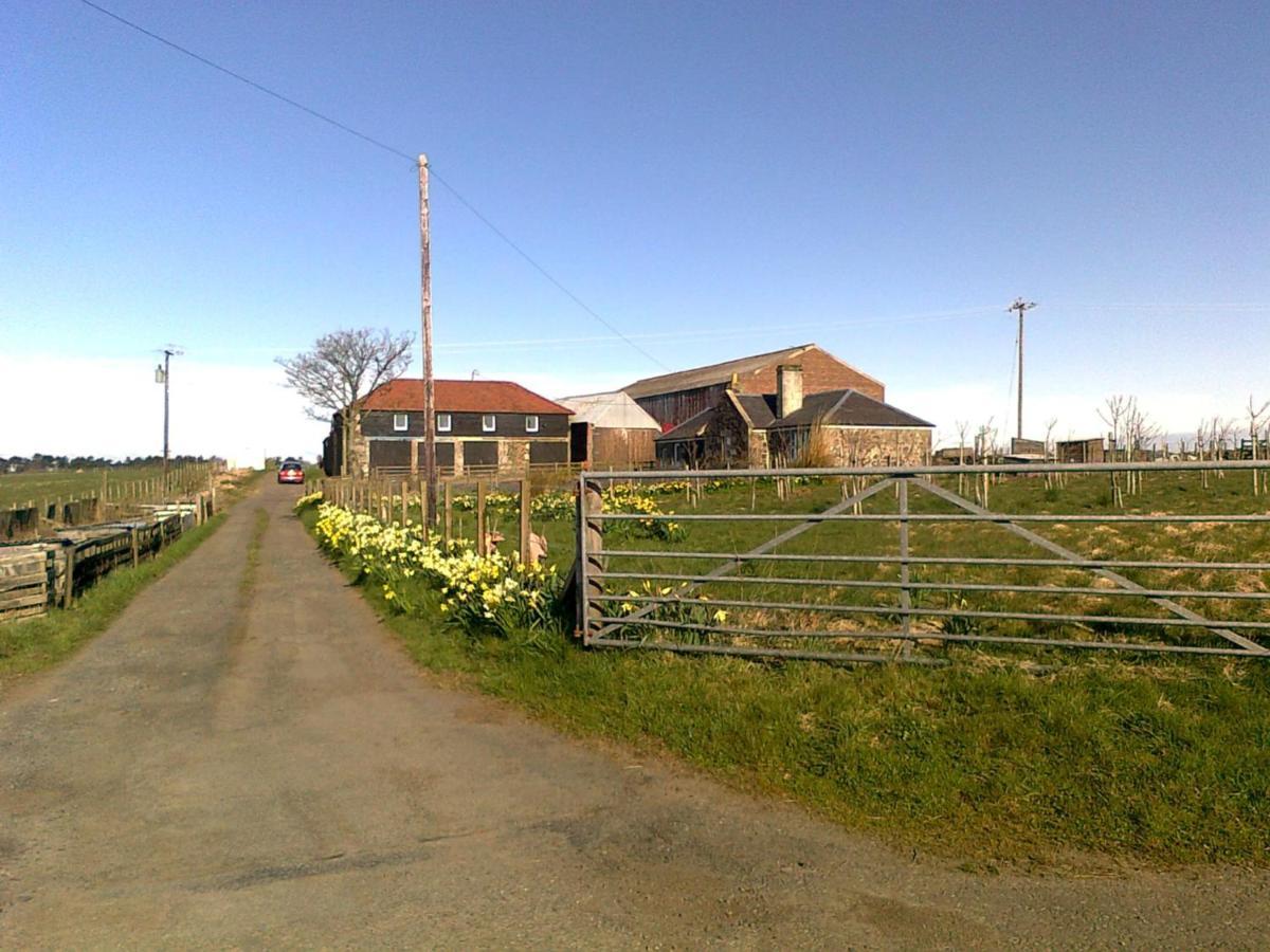 앤스투루더 Knightsward Farm Near St Andrews, Scotland 빌라 외부 사진