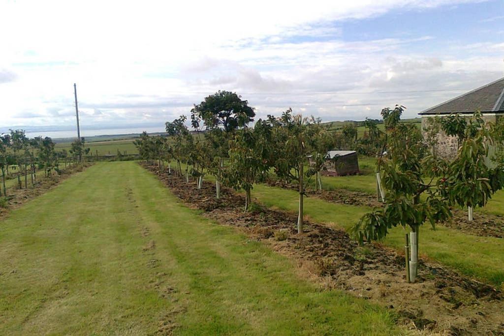 앤스투루더 Knightsward Farm Near St Andrews, Scotland 빌라 외부 사진